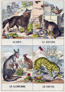 狼; 狐狸; 袋鼠； 捷豹。 雕刻“Buffon Alphabet des Animaux”。第三系列 N 1。Epinal，Epinal，19 世纪后期的成像。16 页。尺寸：28x21cm 作者 法语学校