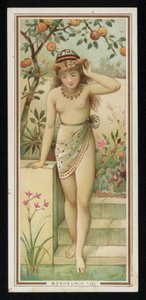 年轻女子在花园里，问候卡。(chromolitho) 作者 法语学校