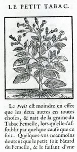 烟草毒药，来自烟草演讲的插图由Jean Le Royer de Prade，1671年 作者 法语学校