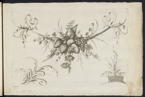 Festoen van vruchten, bladeren en bloemen
各种新的鲜花和水果花环（系列名称） 作者 弗雷德里克·雅各布·莫里森