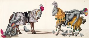 两位受伤的骑士参加了比赛，由Franz Kottenkamp博士撰写的“发展历史与侠义风俗”，由Carl Hoffmann出版，1842年 作者 弗里德里希·马丁·冯·赖比施
