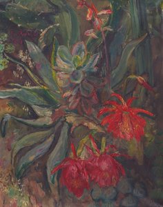 开花的仙人掌 作者 弗里德里希·拉德勒