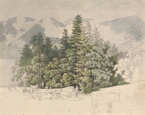 阿尔卑斯山风景（石墨上的水粉画）