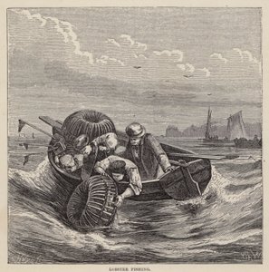 钓龙虾（彩色雕刻） 作者 弗里德里希·斯佩克特（Friedrich Specht）