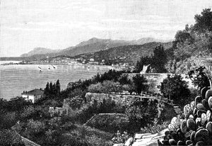芒通，1900年。