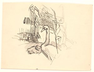 天鹅和小鸭子 作者 弗里茨·西伯格