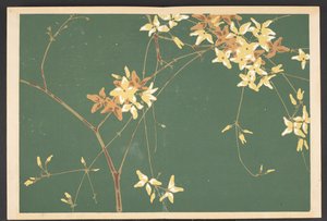 Shasei sôka môyô，生活中的花草图案