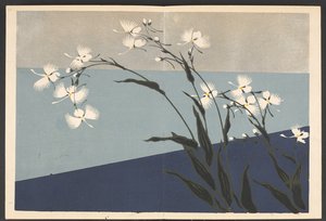 Shasei sôka môyô，生活中的花草图案