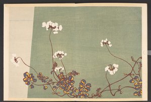 Shasei sôka môyô，生活中的花草图案