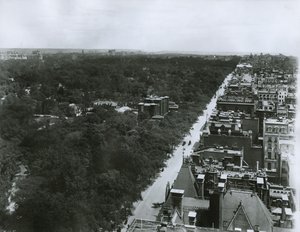 第五大道，从纽约市第61街的大都会俱乐部的屋顶向北看，c.1904