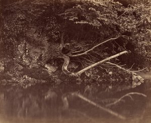 尼斯谷的河岸，约1855年。 作者 GB 格辛