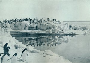 企鹅在冰脚上，1913年，1913年