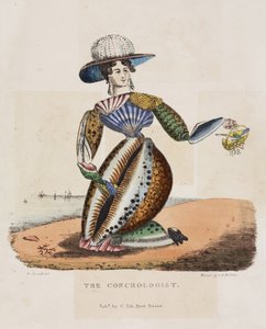 Conchologist，第1831页