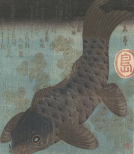 鲤鱼和松树。