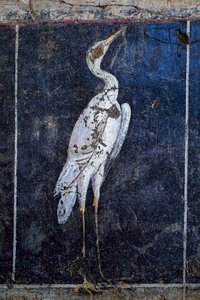 罗马壁画 作者 加洛·罗马