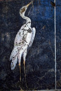 罗马壁画 作者 加洛·罗马