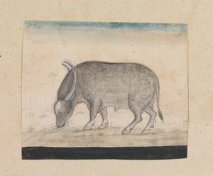 水牛 作者 Gangaram Chintaman Tambat