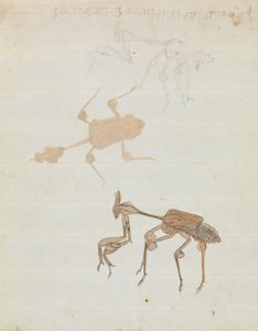 螳螂