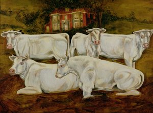 Charolais Bulls，Dippenhall，Farnham