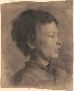 一个男孩的头 作者 加里·梅尔彻斯