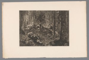 森林景观
Les sapins du Doubs（物上标题）
1876 年的法国蚀刻版画（系列名称）
L