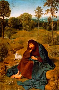 荒野中的约翰浸信会，由 Geertgen tot Sint Jans Panel（约 1460 年至约 1490 年）绘画，面板，42x28 厘米，荷兰