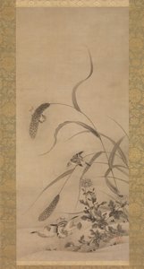 小米和麻雀，16世纪中期。 作者 艺爱