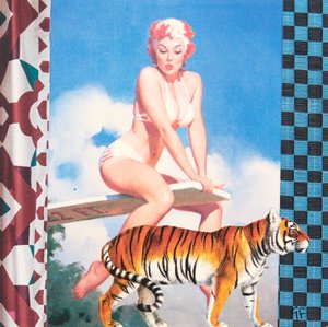 游泳女孩与老虎（拼贴画）