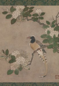 喜鹊在紫荆花枝上，16世纪初。 作者 真嘎