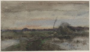 沼泽景观与日落 作者 地理波根贝克