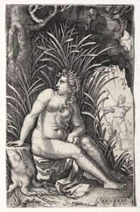 Procris 作者 乔治·彭茨