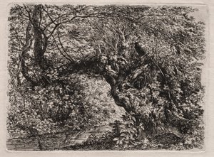 溪边老柳 作者 Georg von Dillis