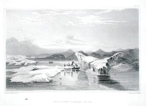 被冰块挤压的海豚，出自约翰-富兰克林爵士(1786-1847)的《1819-22年极地海岸之旅记》，由爱德华-芬登(1791-1857)雕刻，1823-28年出版(彩色雕刻) 作者 乔治（之后）返回