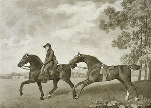 两个哈克，由乔治-汤利-斯塔布斯（1748年-1815年）雕刻（平版印刷）。