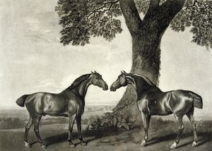 两个猎人，由G.T. Stubbs（1748年-1815年）雕刻（平版）（另见266802）。