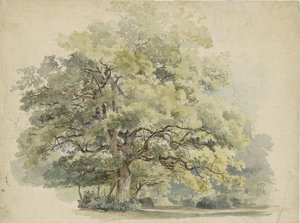 树研究 作者 乔治·安德里斯·罗斯