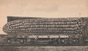 一车的德克萨斯玉米，约1910年。 作者 乔治·B·康沃尔
