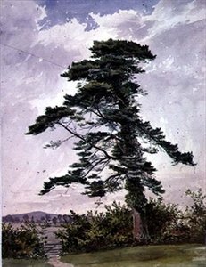 景观，与苏格兰松树 作者 乔治·贝德福德