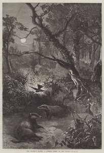 獾的鬼魂，树林里的夏夜