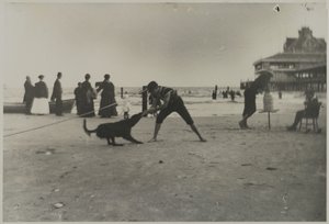 男孩和狗，铁码头，康尼岛，布鲁克林，c.1885（印刷明胶银印）