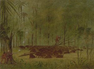 与山雀的斗争--加勒比海，1854-1869。 作者 乔治·卡特琳