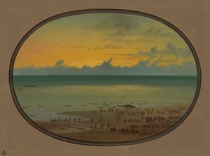 鲸鱼上岸 - Klahoquat, 18551869. 作者 乔治·卡特琳