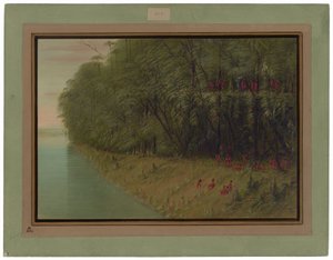 亚马逊森林--上岸后的展望 作者 乔治·卡特琳