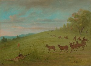 羚羊射击--阿辛纳波因，18611869。 作者 乔治·卡特琳