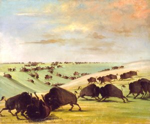 水牛公牛在奔跑季节的战斗，上密苏里州，1837-1839。 作者 乔治·卡特琳