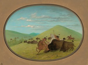 水牛城--公牛保护小牛，18611869。 作者 乔治·卡特琳
