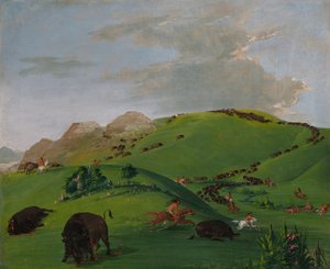 布法罗-切斯，黄石河口，1832-1833。 作者 乔治·卡特琳