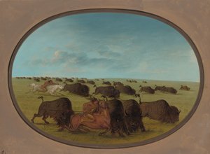 布法罗-切斯，与意外事件，1861-869。 作者 乔治·卡特琳