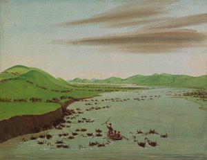 水牛群穿越上密苏里河，1832年。