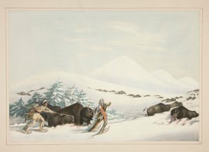 水牛狩猎》，《雪地鞋》，选自《北美印第安作品集》第 15 版 作者 乔治·卡特琳